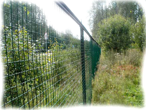 Забор из сварной сетки в рулонах фото